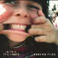Growing Pains