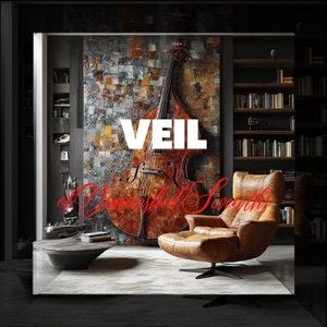 Veil of Diminished Sevenths