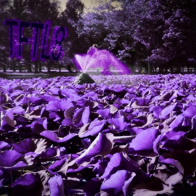 TFTL8
