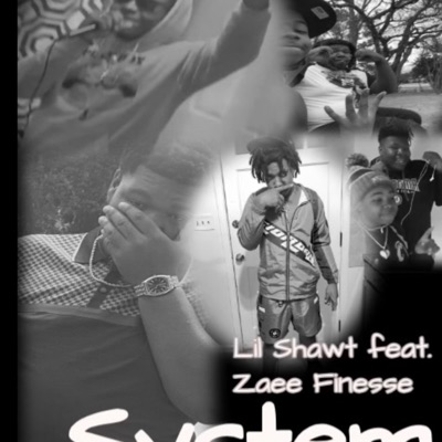 To The System (feat. Lil Shawt) - Single