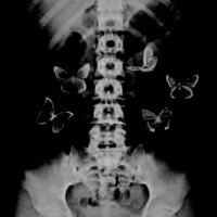 A Gift You're the Curse - VXSXON