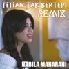 TITIAN TAK BERTEPI (Remix) - Single