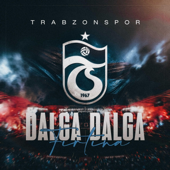 Dalga Dalga Fırtına song art