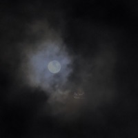 Full Moon - Single - Shortone