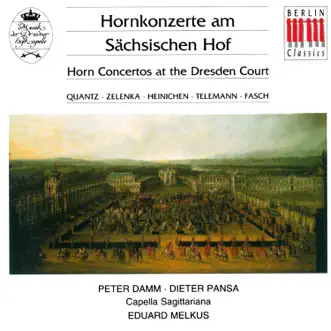 Horn Concerto in E-Flat Major: I. Allegro by Eduard Melkus & Capella Sagittariana song reviws