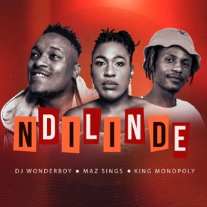 Ndilinde - Single