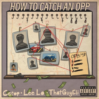 How to Catch an Opp - Single
