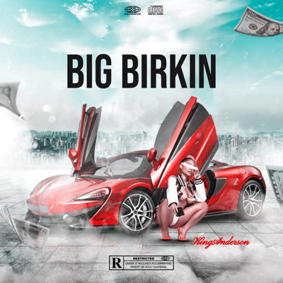 Big Birkin - Single