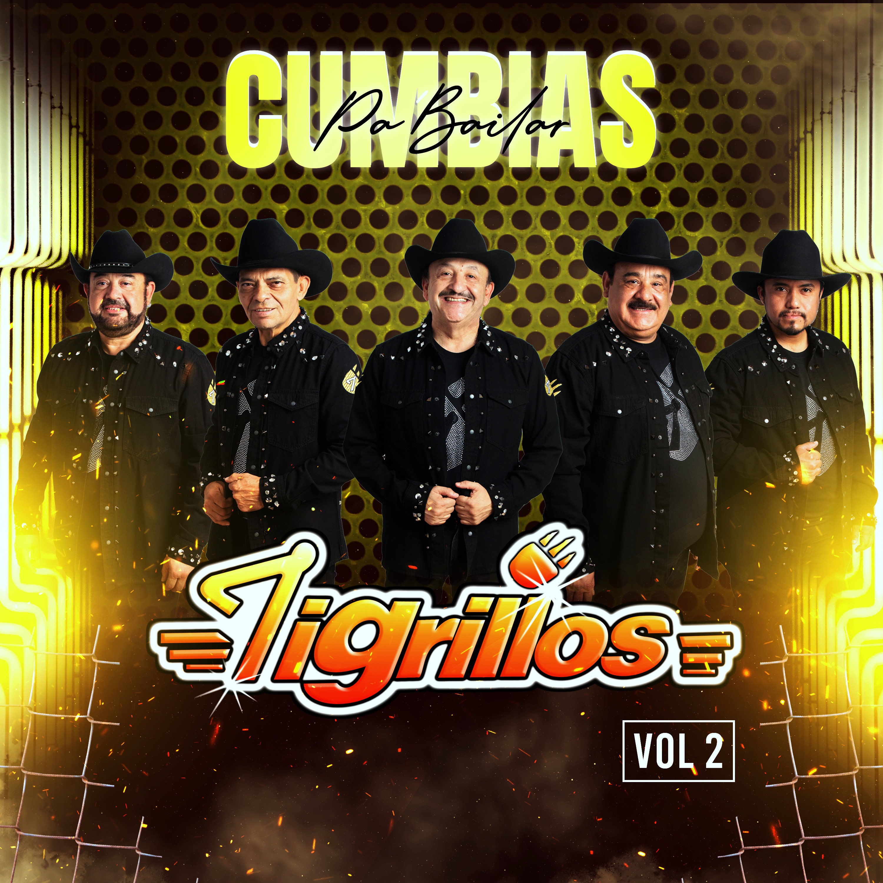 Cumbias Pa'bailar Vol. 2