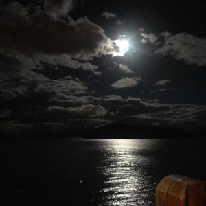 moonlight