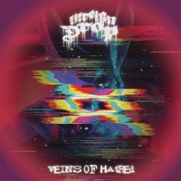 Veins of Hatred - Single - Lil Reign Drop