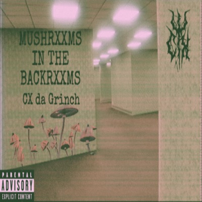 MUSHRXXMS IN THE BACKRXXMS - Single