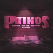 Primos (feat. Dj Kiire) artwork