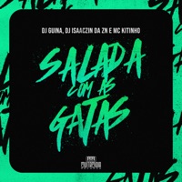Salada Com as Gatas - Single - DJ Guina, DJ ISAACZIN DA ZN & Mc Kitinho