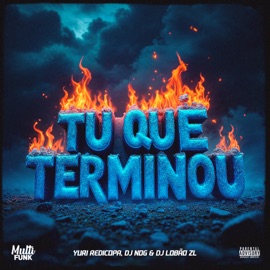 Tu Que Terminou Yuri Redicopa, DJ Lobão ZL & DJ Nog