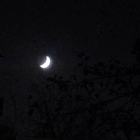 all i can see is you - Single - HXZRD