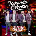 Tomando Cerveza