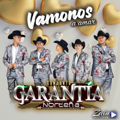 Vámonos a Amar - Single