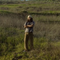 Field of Melodies - Sammi Nassar