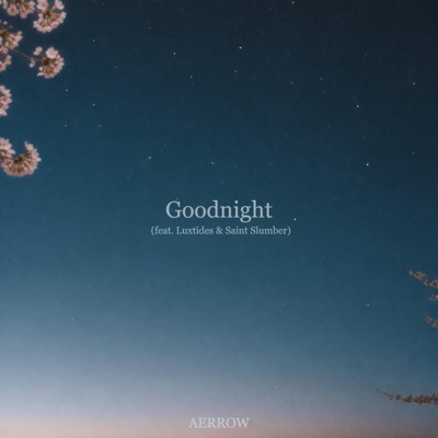 Goodnight (feat. Luxtides & Saint Slumber) - Single