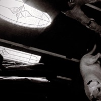 Fall In Place (Solo) - Single - Kaarriiii