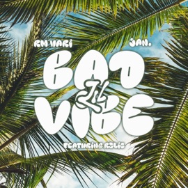 Bad Lil Vibe (feat. RZLIC) RM Hari & JAN.