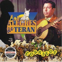 Los Alegres de Terán - Los Tequileros