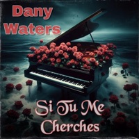 Si Tu Me Cherches - Single - Dany Waters