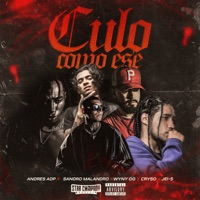 Culo Como Ese (feat. Wyny Og & Cryso) - Single - Andrés Adp, Sandro Malandro & Jeis