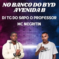 No Banco do Byd Avenida B - Single - MC Negritin & DJ TG DO SAPO O PROFESSOR