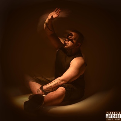 Lowkey - Single