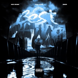 Best Of Me (feat. Sindr & Nick Bonin) Peachman