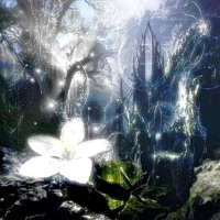 CRUSH CRUSH CRUSH - Single - burnnt