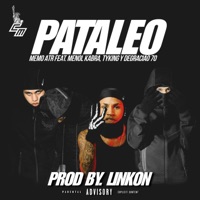 PATALEO (feat. Menol Kabra, Tyking & Degraciao 70) - Single - Memo ATR