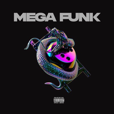 MEGA FUNK PLAYBOYZIN DA ZONA SUL - Single