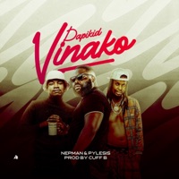 Vinako (feat. Pylesis & Nepman) - Single - Papikid