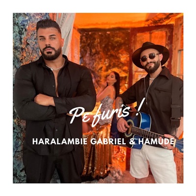 Pe furiș (feat. Hamude) [Radio Edit] - Single