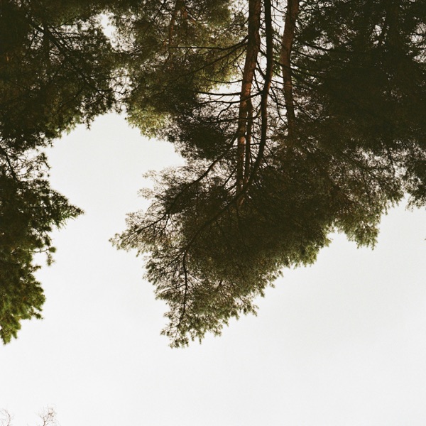 Forest Films (feat. Michi Oskah) - EP