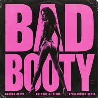 Bad Booty - Single - CARBON DECAY & SPANKTHENUN