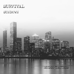 City Nights / Sundown - Single