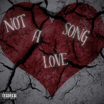 Not a Love Song (feat. Ej2val1d) - Single