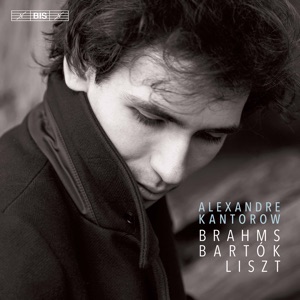 Brahms, Bartók & Liszt: Piano Works