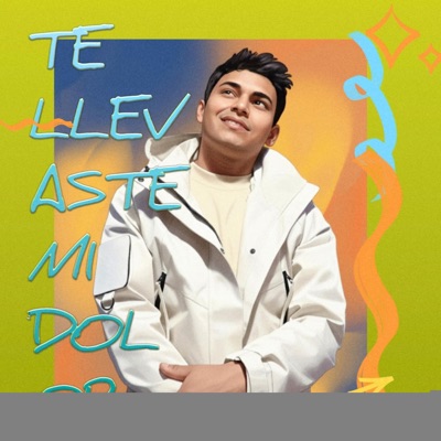 Te llevaste - Single