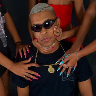 Toma Botada de Criminoso - Single