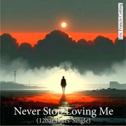 Never Stop Loving Me (12bar Blues Single Original Mix) - EricFrancisCotting