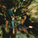 Born On the Bayou - Creedence Clearwater Revival