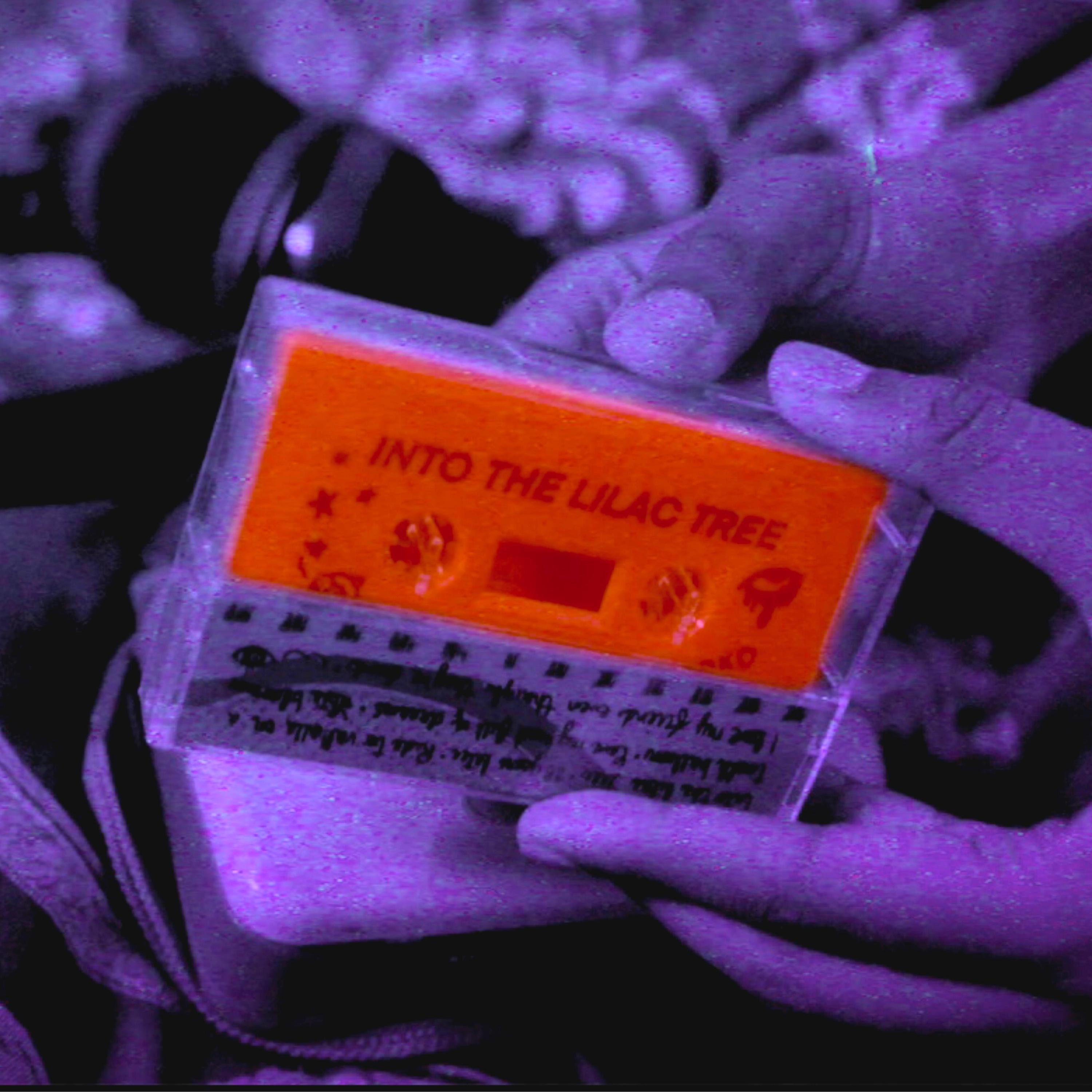 Late Cambrian - Into The Lilac Tree