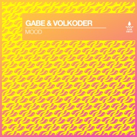 Mood Gabe & Volkoder