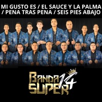 Mi Gusto Es / El Sauce y la Palma / Pena Tras Pena / Seis Pies Abajo - EP - Banda Super 14