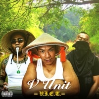 V.I.E.T. - Single - Mixed Miyagi, Hoey Farmer & Chong Ali